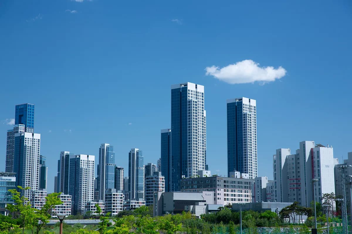 대륜 불법건축물철거 정의 법률 정보